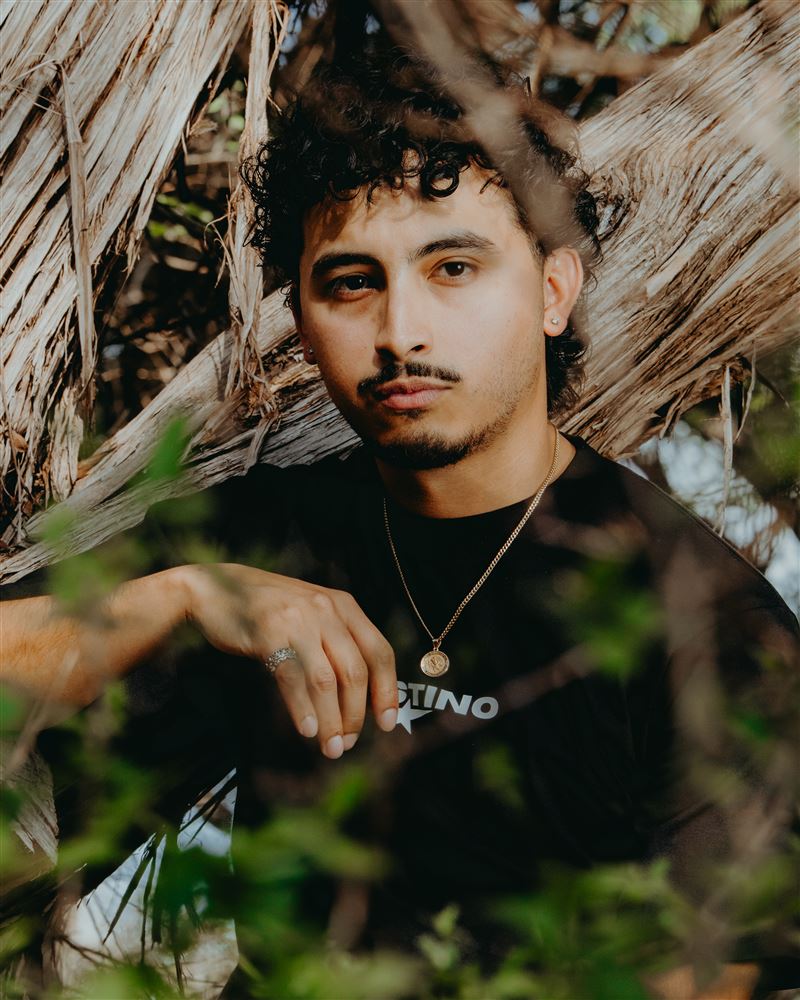 Man in a black Destino tee framed by branches and a split trunk